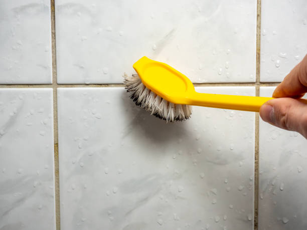 Best Black Mold Removal  in Columbus Junction, IA