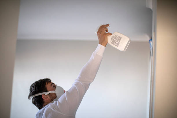 Best Mold Cleaning Services  in Columbus Junction, IA