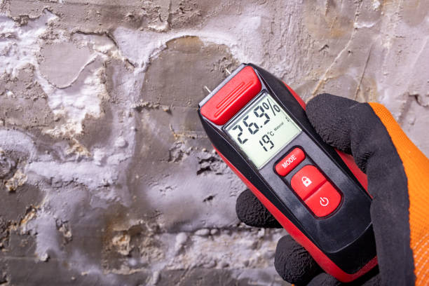 Mold Removal Process in Columbus Junction, IA