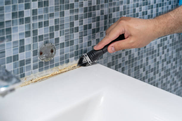 Home Mold Removal in Columbus Junction, IA
