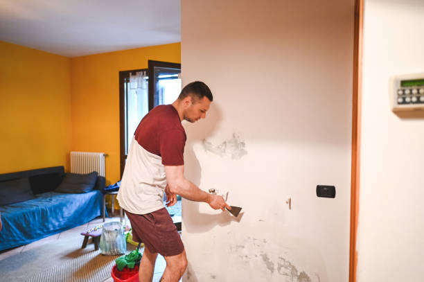 Best Residential Mold Removal  in Columbus Junction, IA